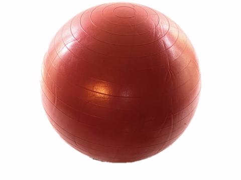 Gym Ball 55cm
